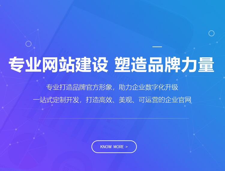 磁县建站-专业网站建设 塑造品牌力量